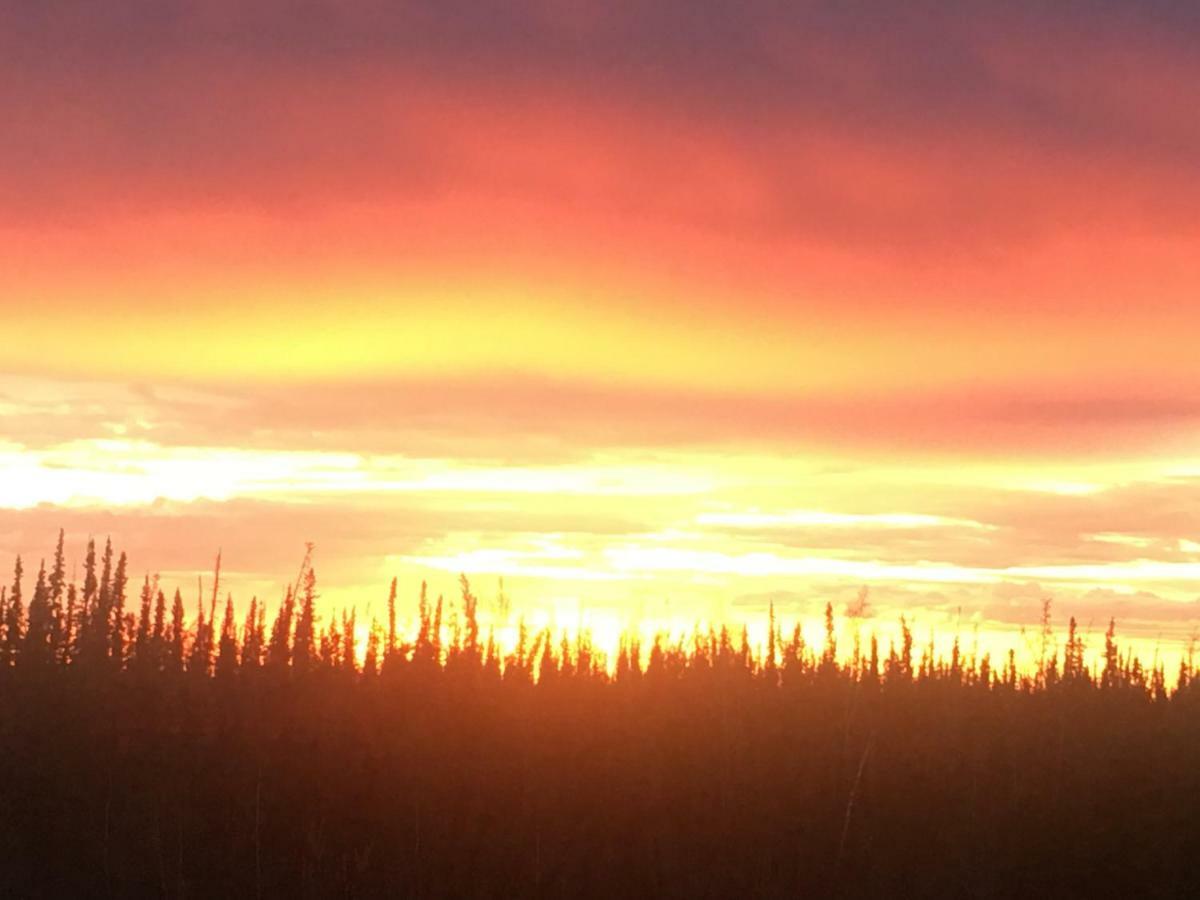 Fireweed Roadhouse Villa Nenana ภายนอก รูปภาพ