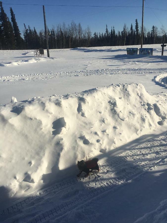 Fireweed Roadhouse Villa Nenana ภายนอก รูปภาพ
